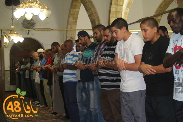 7san bek waf (1).JPG